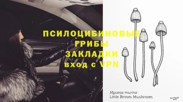apvp Белоозёрский